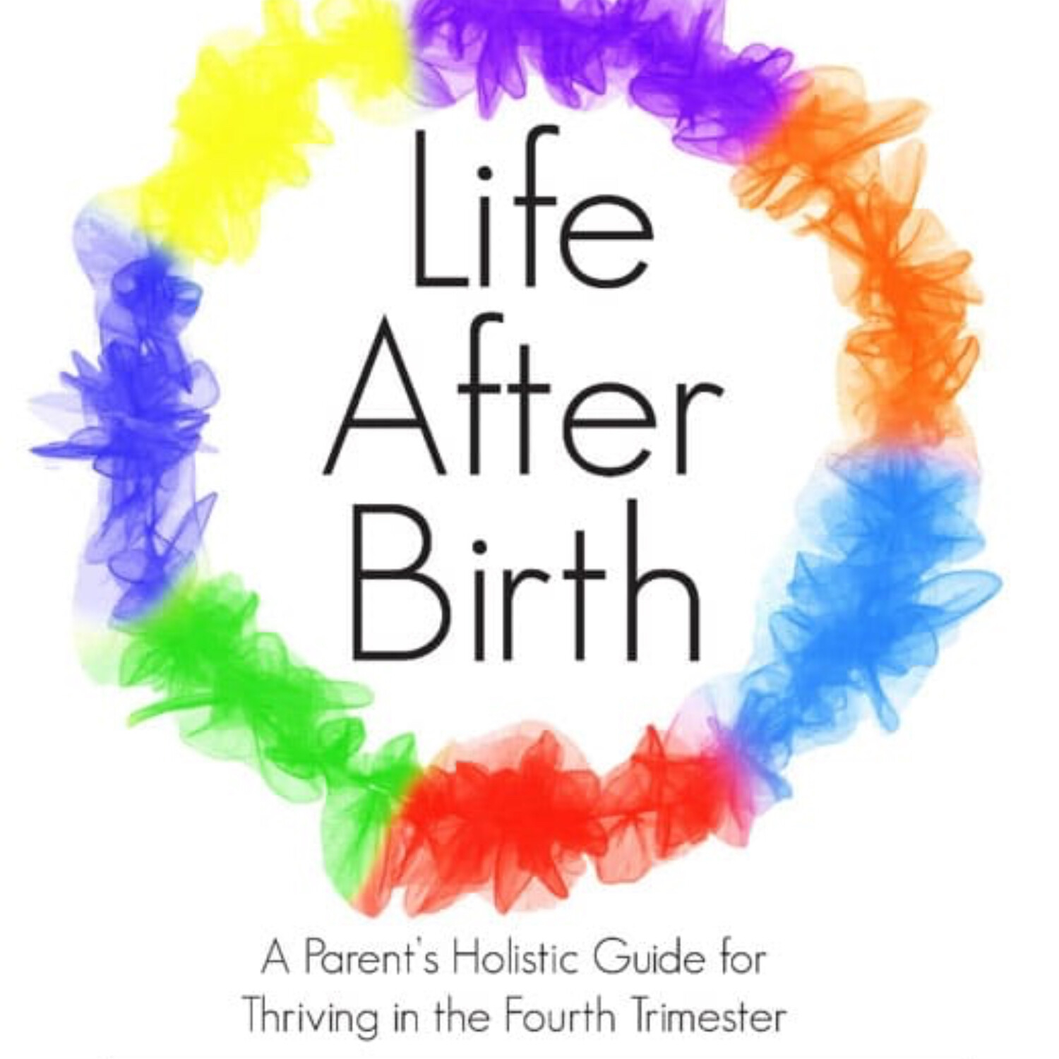 DIANE SPEIER, Certified Childbirth Educator/Author (11-30-22) episode artwork