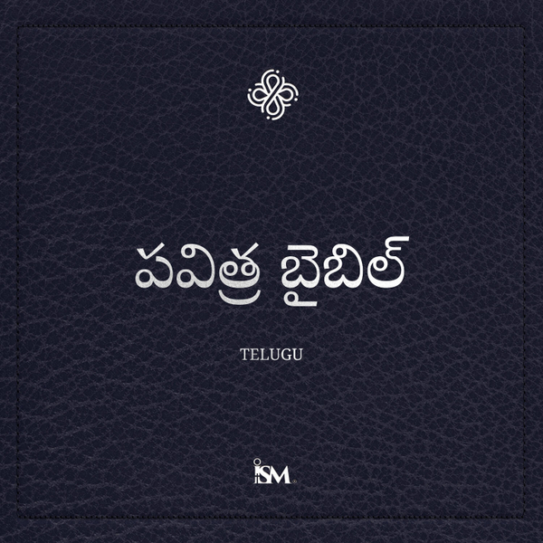 పరిశుద్ధ బైబిల్ - తెలుగు (Telugu, నూతన నిబంధన + కీర్తనలు మరియు సామెతలు) artwork
