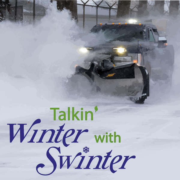 Show #1 - Winter Cleanup artwork