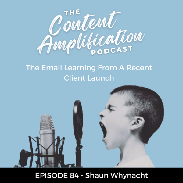 Episode 084 - The Email Learning From A Recent Client Launch artwork