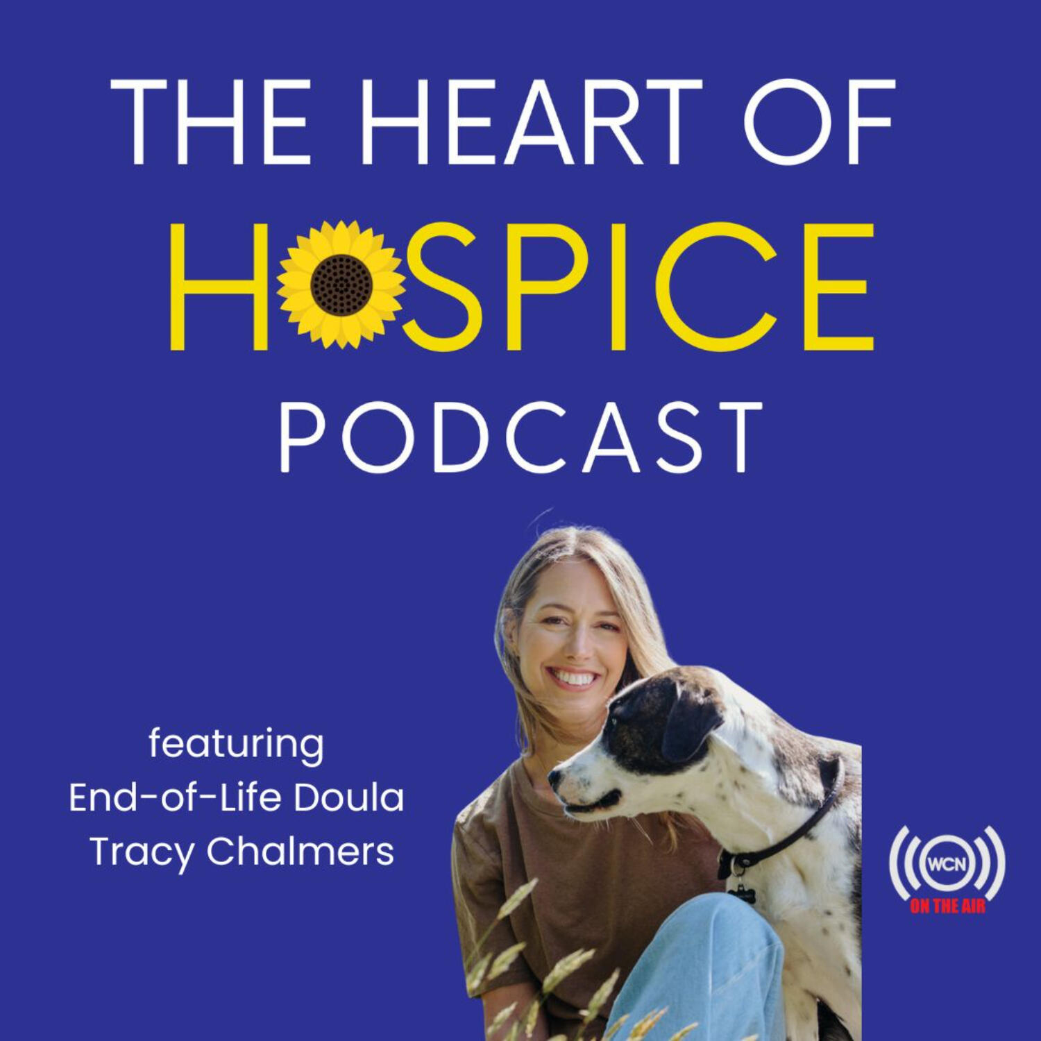 How to Be a Companion on the End of Life Journey episode artwork