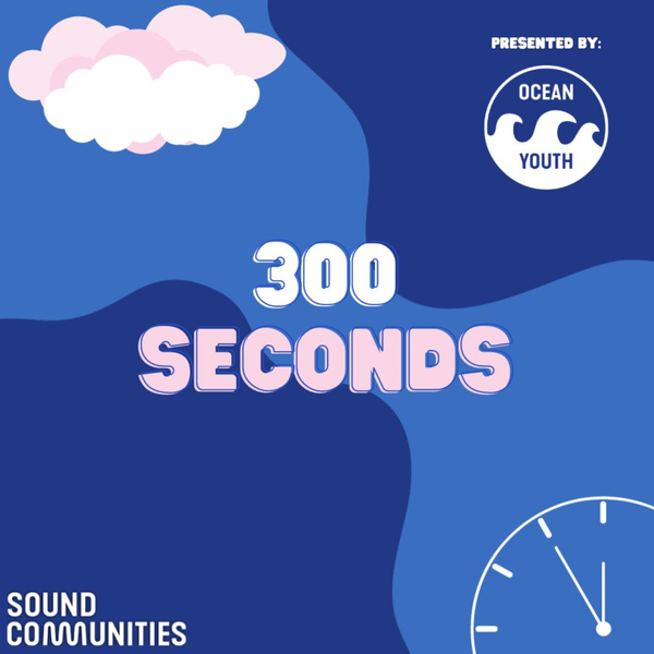 300 Seconds Podcast  artwork