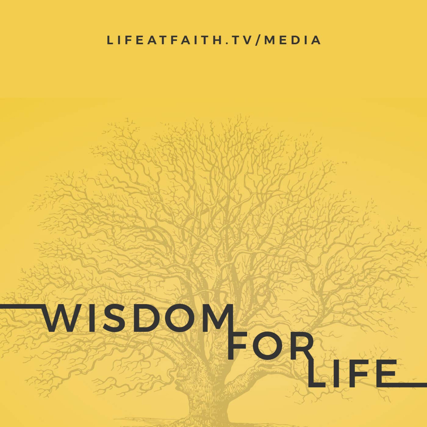 Wisdom in Planning episode artwork