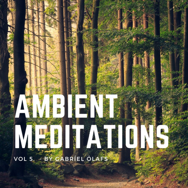Magnetic Magazine Presents Ambient Meditations Vol 5 - Gabríel Ólafs artwork