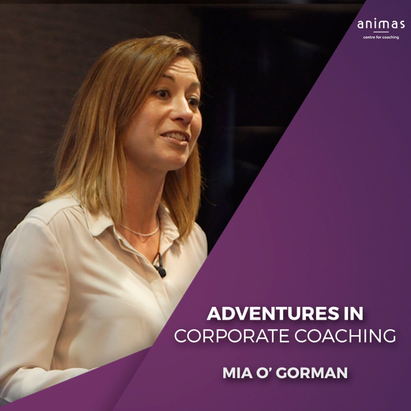 Adventures in Corporate Coaching - Mia O'Gorman