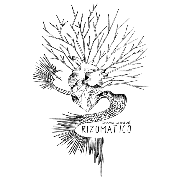 Rizomático artwork
