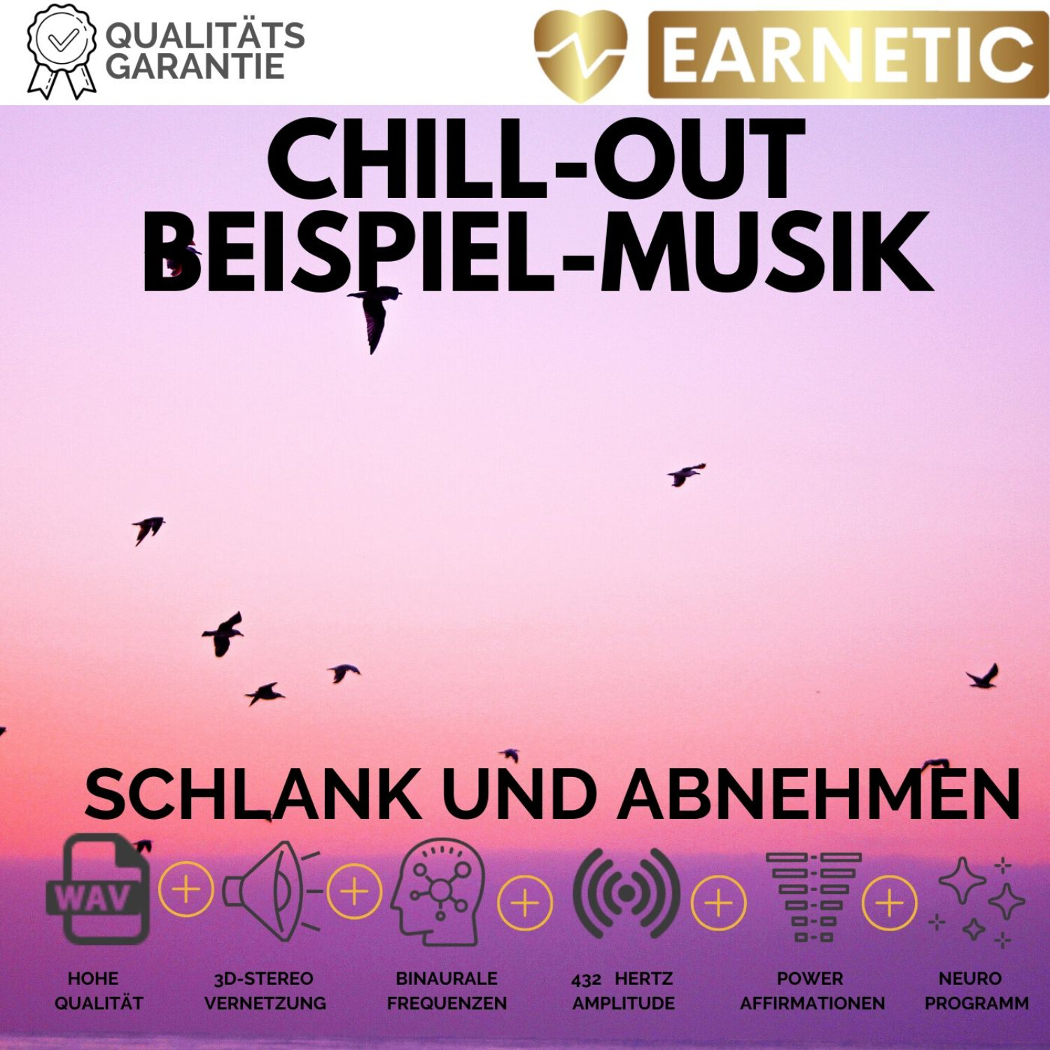 EARNETIC.de - Silent Subliminals & Neuromentalprogramme