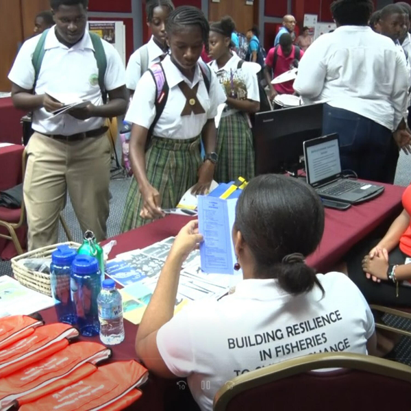 Saint Lucia College and Career Fair A Success artwork