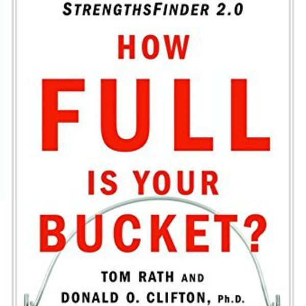 How Full Is Your Bucket? A Summary of Insights artwork
