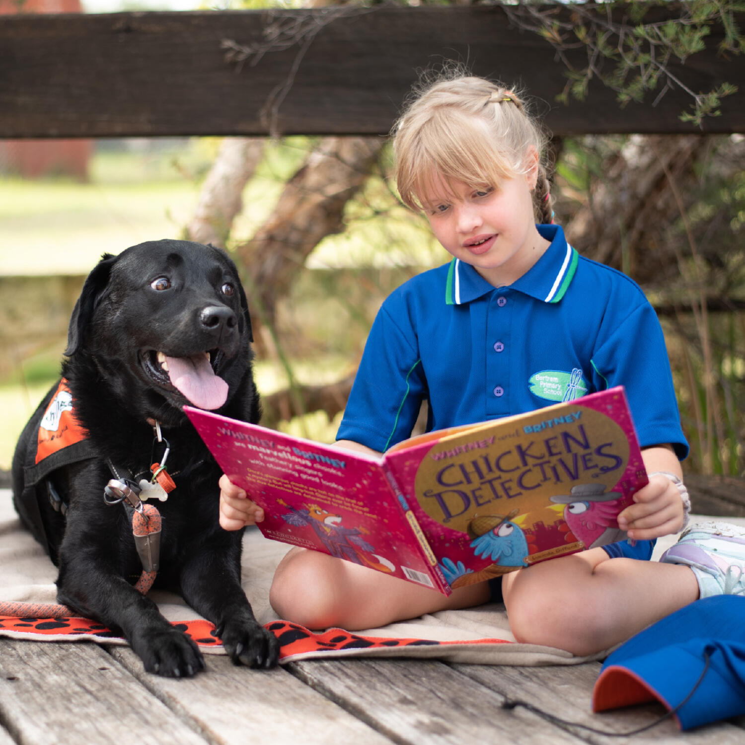 Feb 26: Story Dogs improving literacy and confidence in young readers episode artwork