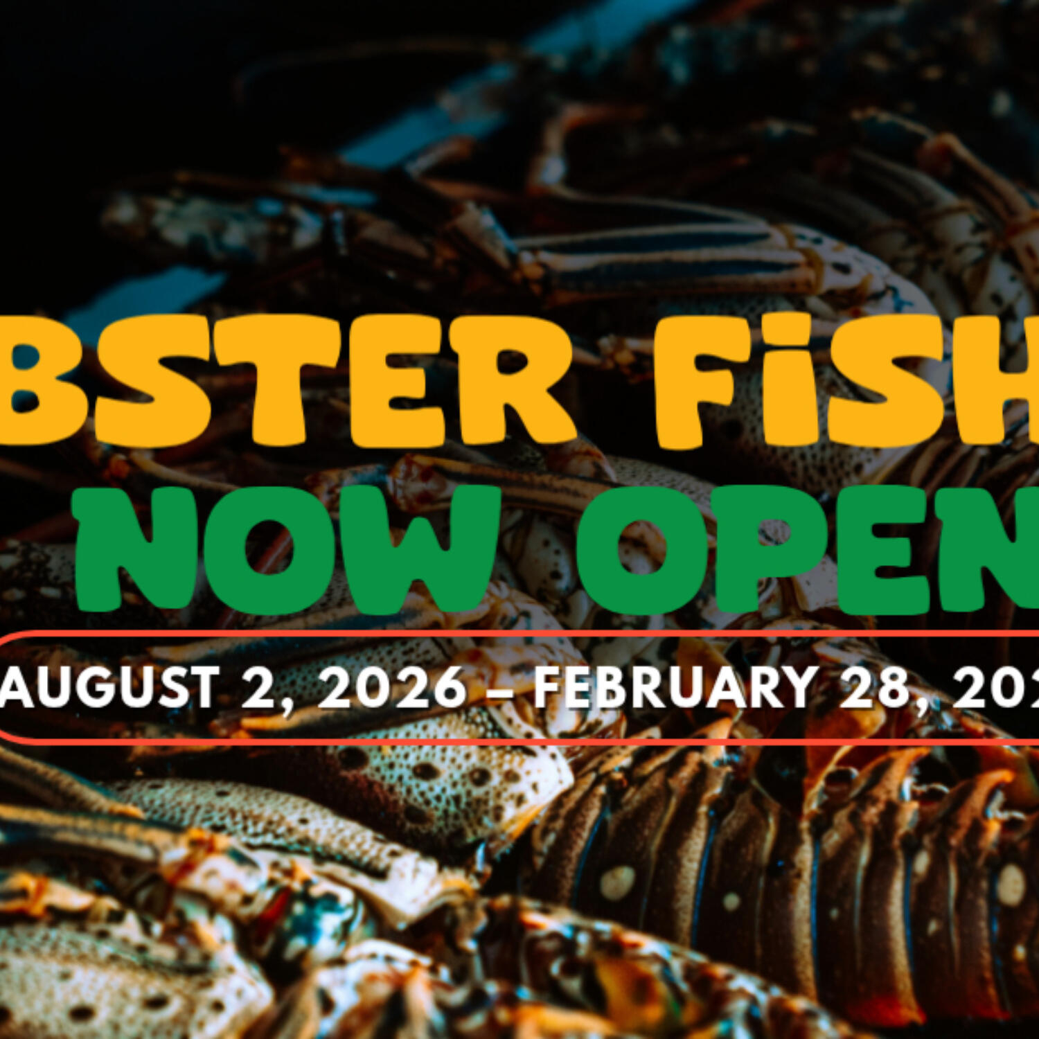 Lobster Open Fishery 2026 episode artwork