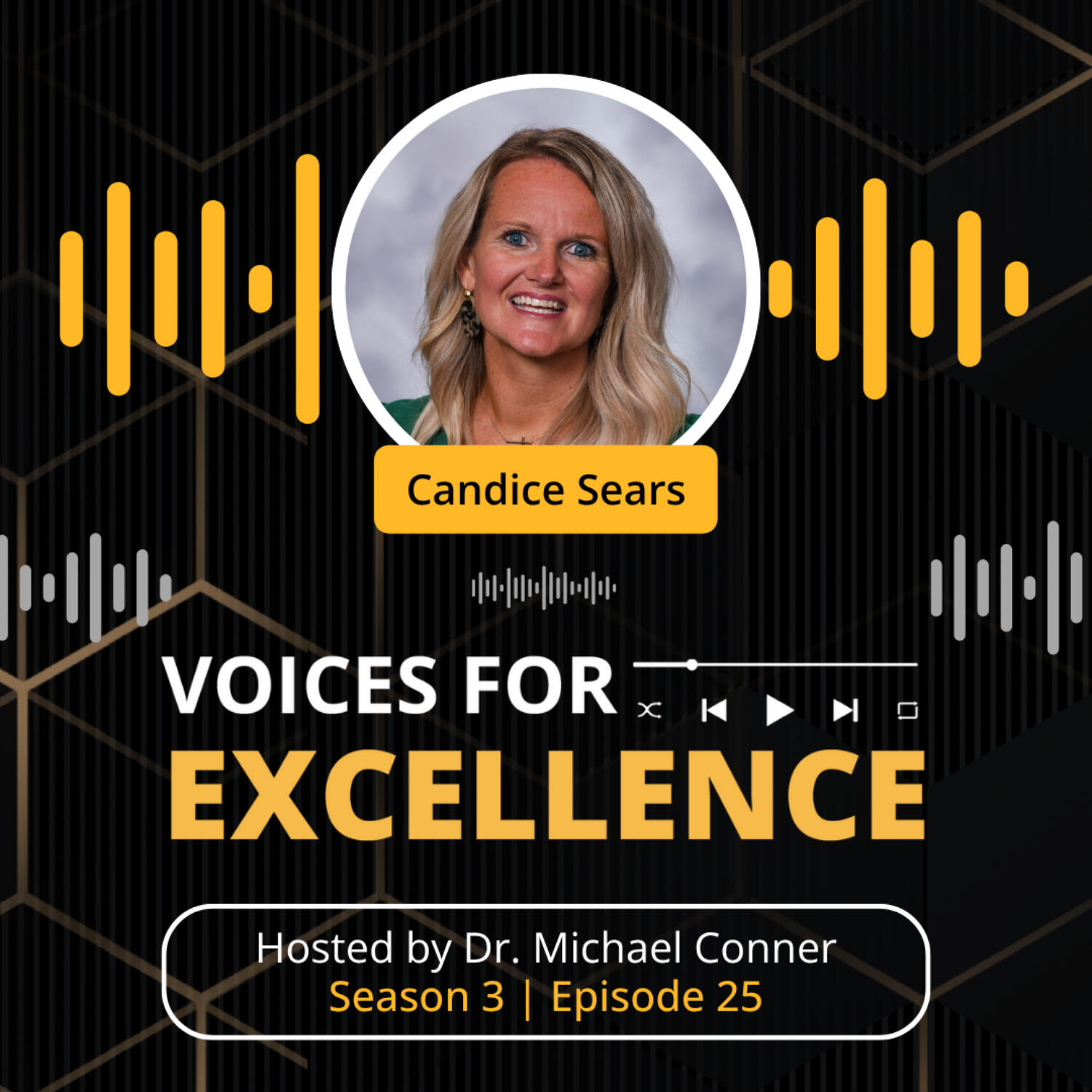 Voices for Excellence