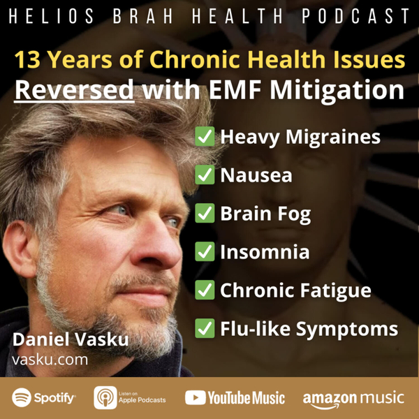 Daniel Vasku - How EHS Started, Symptoms, Progression, Recovery, Shielding, Resilience, Costs, Mistakes, Electrohypersensitvity #2 artwork