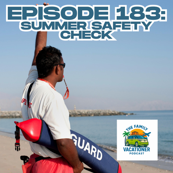 9 Minute Summer Safety Check! artwork