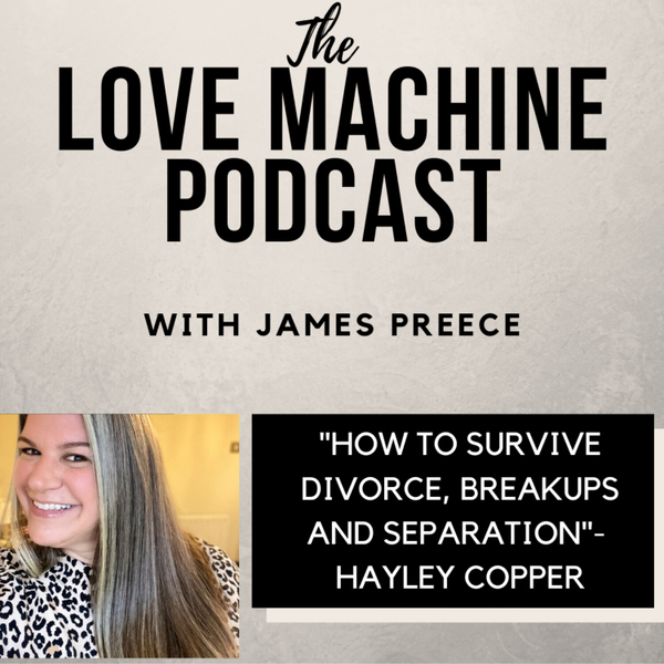 How to Survive Divorce, Breakups and Separation  artwork