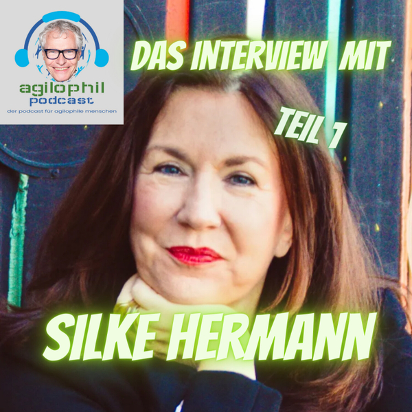 OpenSpace Beta - Interview mit Silke Hermann, Teil 1 artwork