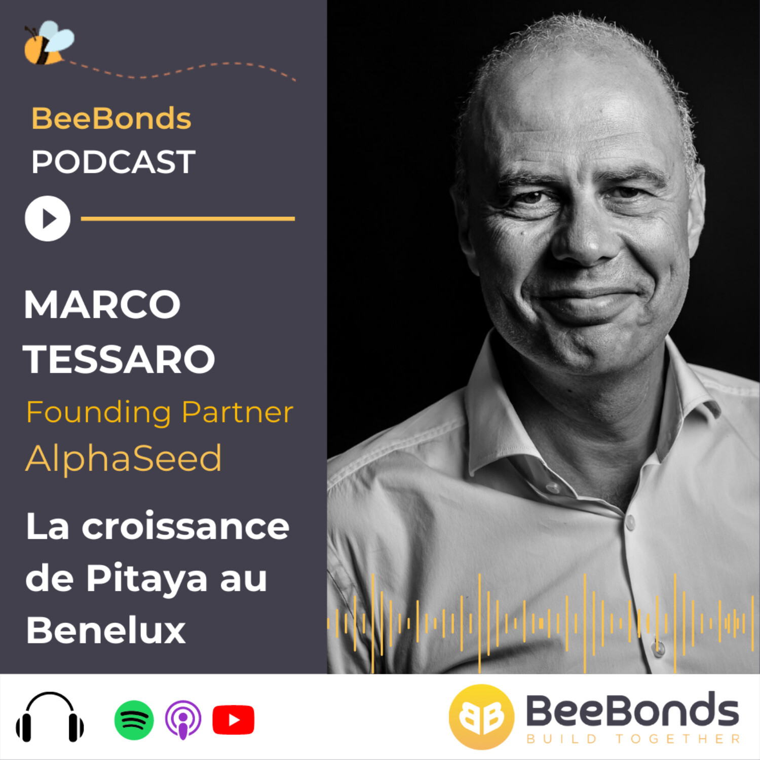 BeeBonds Podcast