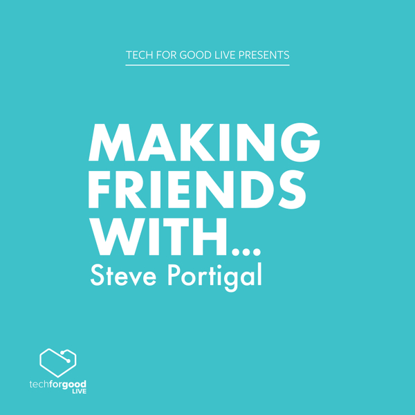 Making Friends With… Steve Portigal artwork