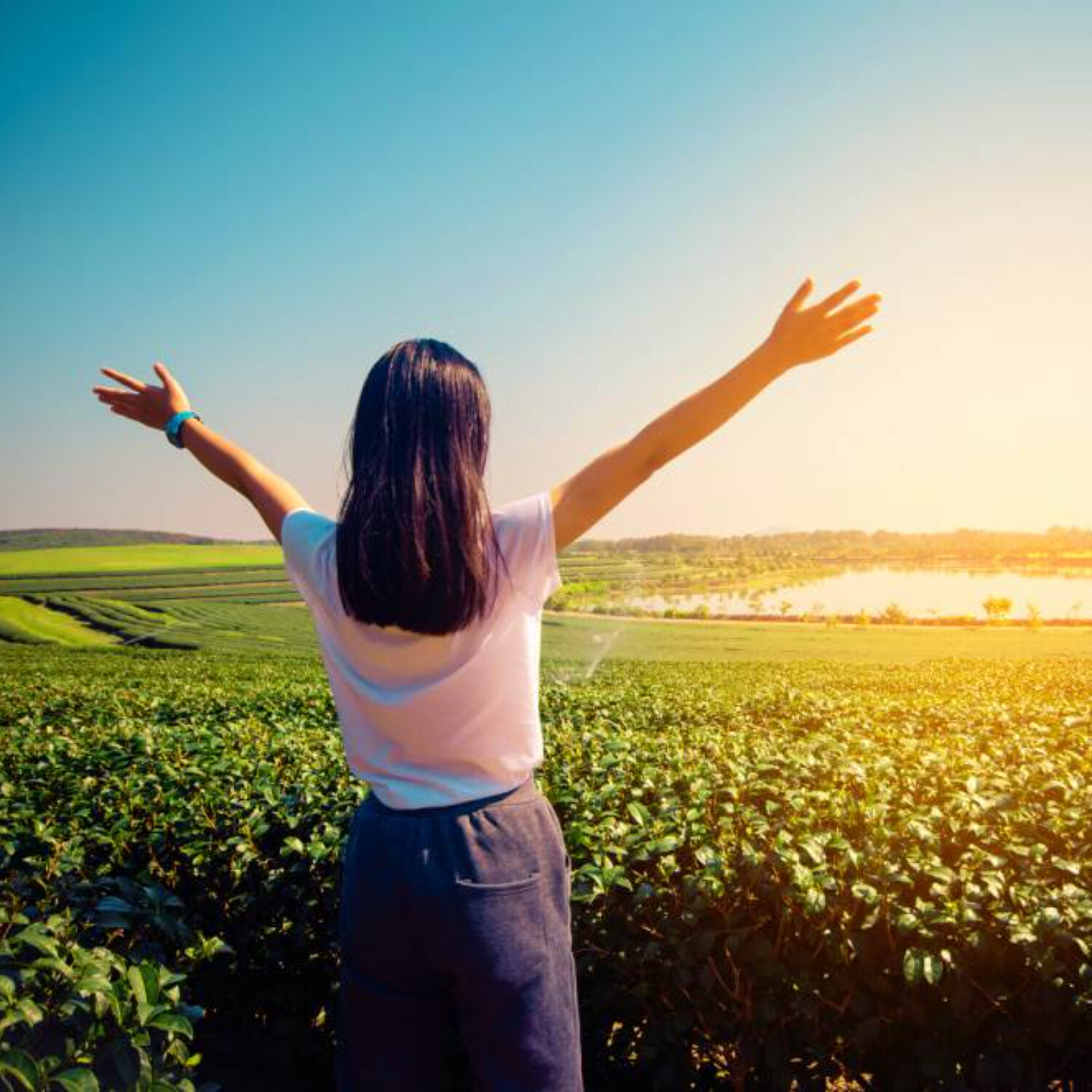 Ježíš uzdravuje naše svědomí