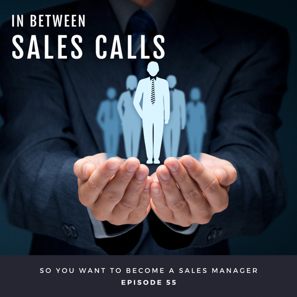 So You Want To Become a Sales Manager artwork