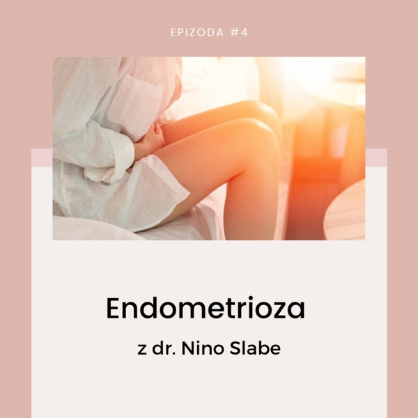 Endometrioza artwork