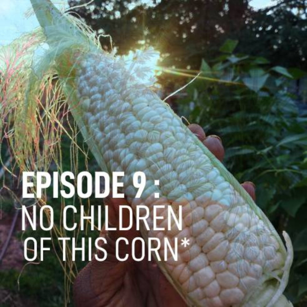 No Children Of This Corn artwork