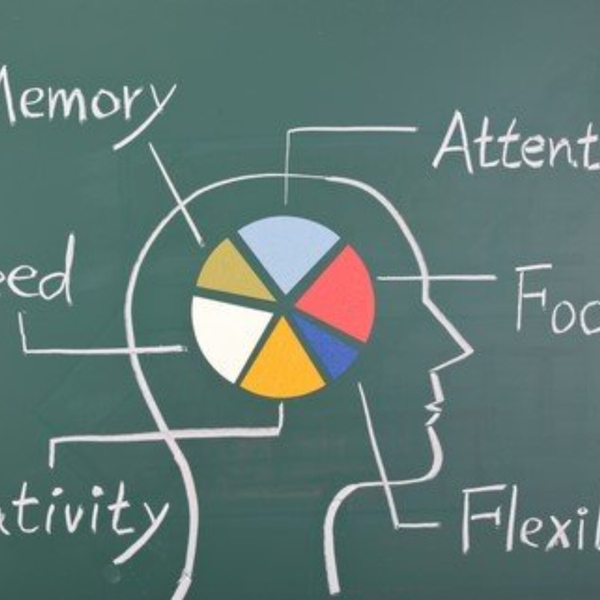 Nootropics and Brain Performance artwork