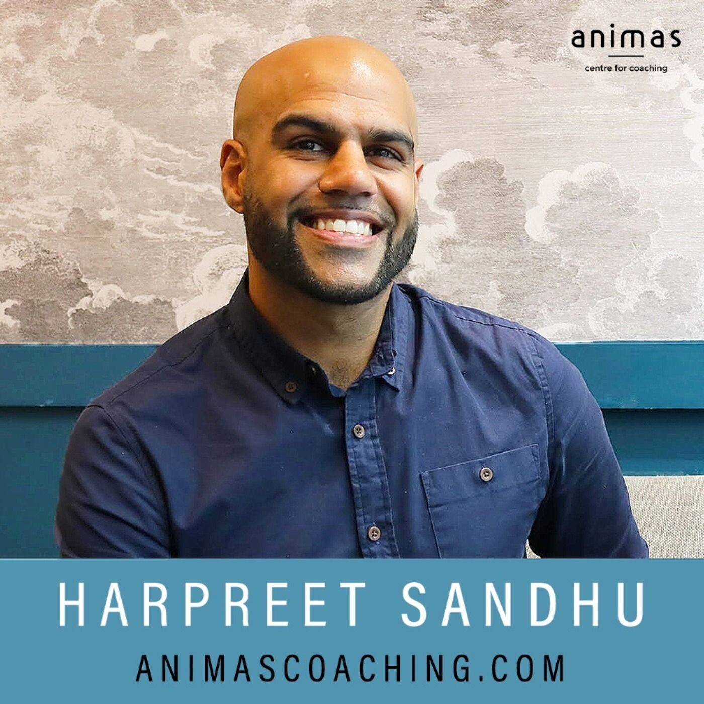 Harpreet Sandhu - Burnout to Bliss, Happiness TV and Success and Fulfilment Coaching