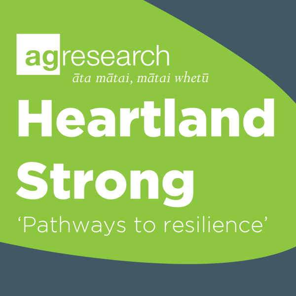 Heartland Strong - Pathways to resilience artwork