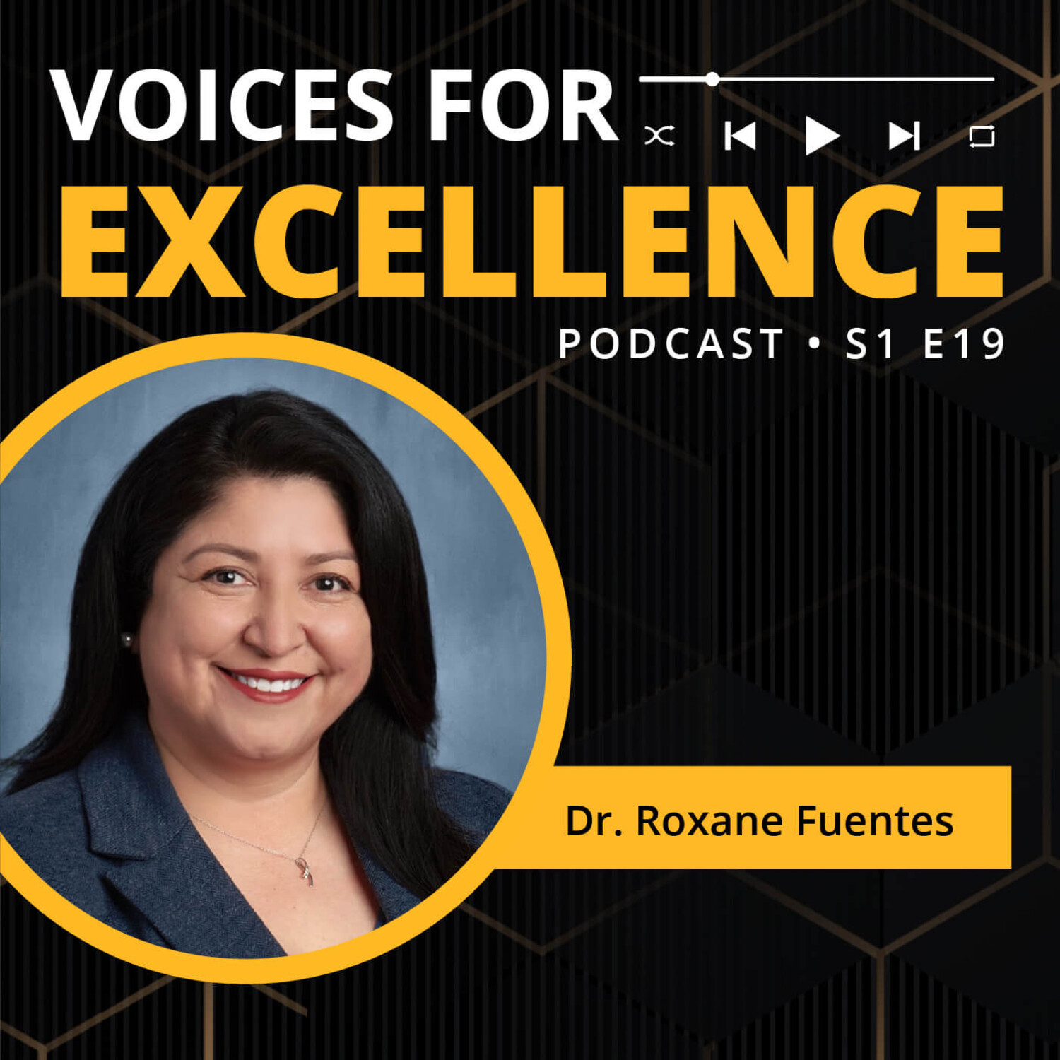Voices for Excellence