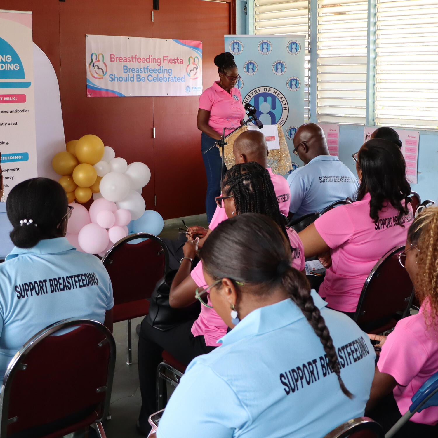 Breastfeeding Awareness Month officially opens with call to strengthen support for mothers and babies episode artwork