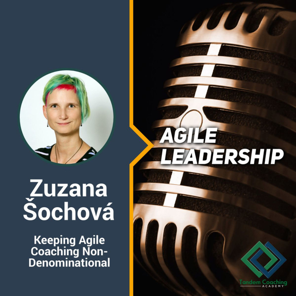 Agile Leadership with Zuzi Sochova artwork