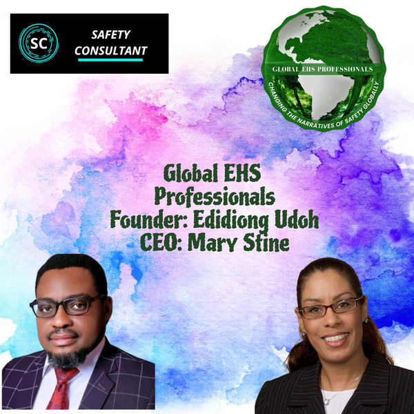 Global EHS Professionals artwork