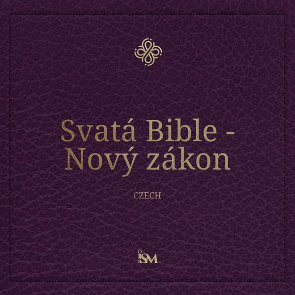 Szent Biblia - Magyar (Hungarian, Újszövetség) artwork