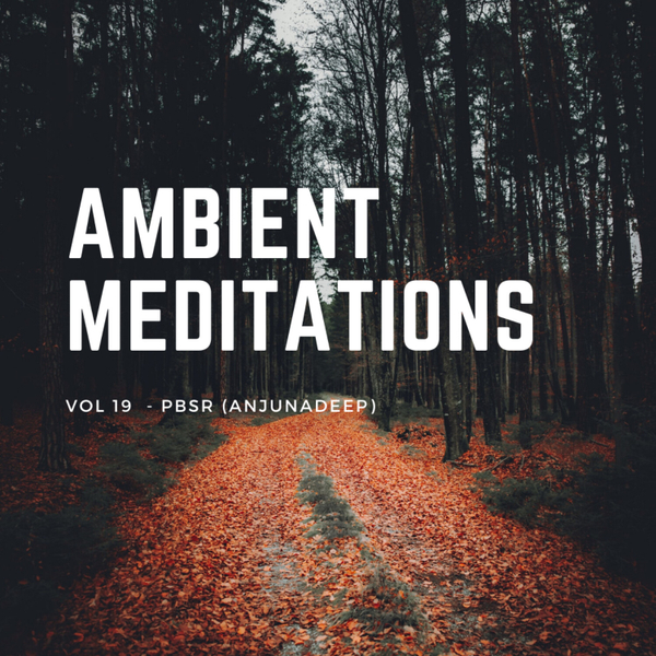 Magnetic Magazine Presents: Ambient Meditations Vol 19 - PBSR (Anjunadeep) artwork