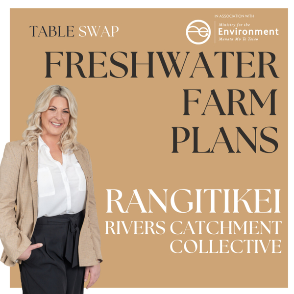 Leave it to the catchment communities to achieve freshwater outcomes. Rangitikei farmers meet the Ministry for the Environment  artwork