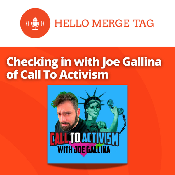 Checking in with Joe Gallina of Call To Activism artwork