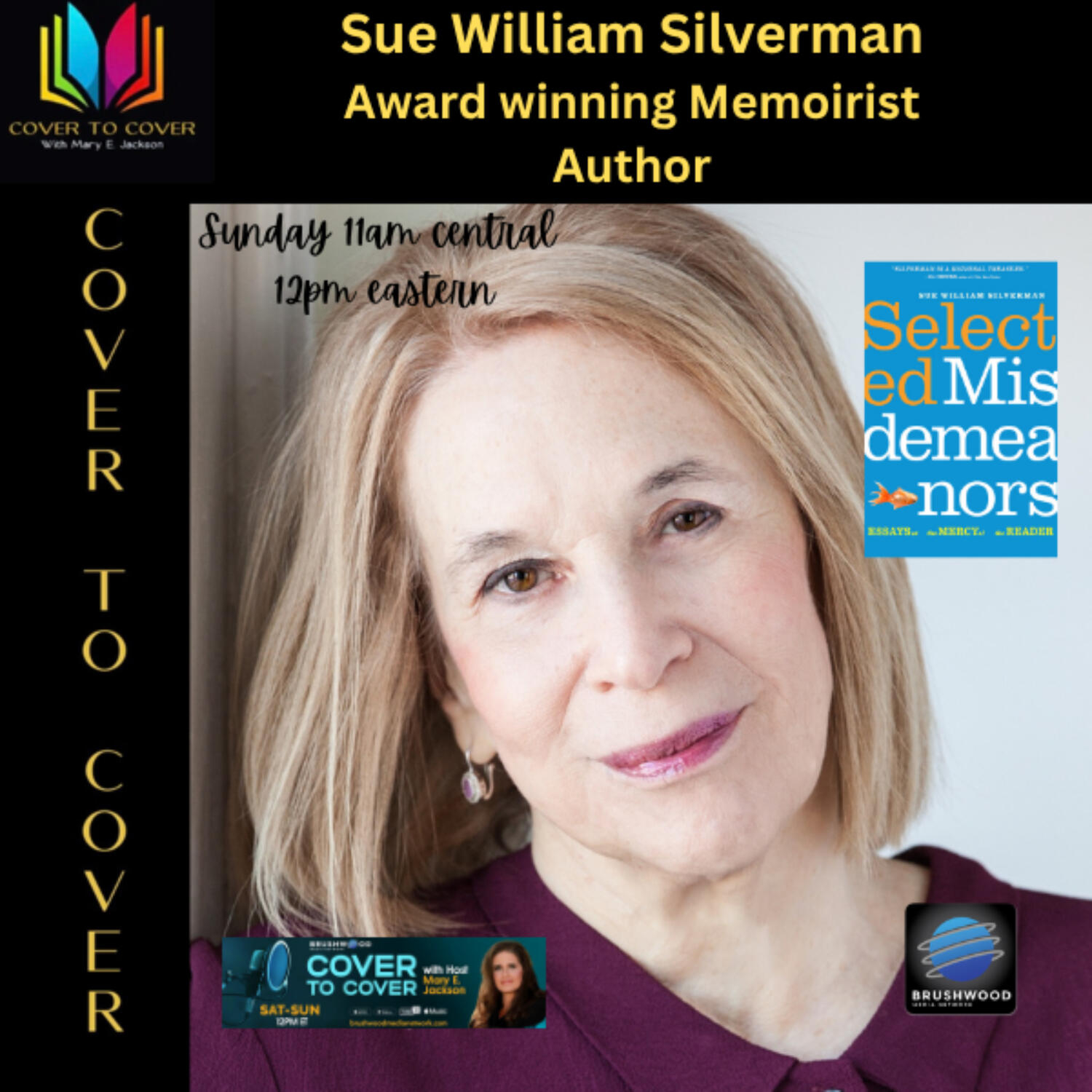Sue William Silverman - Exploring the Tender Chaos of Love, Longing, and Identity episode artwork