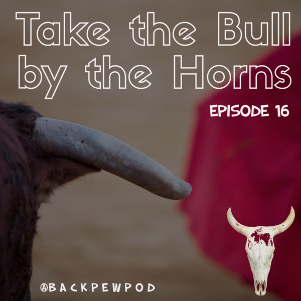 "Take the Bull by the Horns" - Ep. 16 artwork