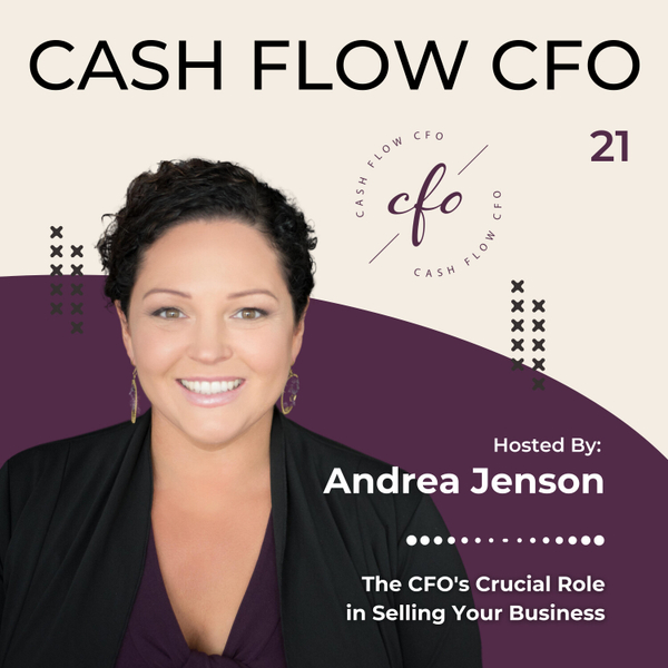 Episode 21: The CFO's Crucial Role in Selling Your Business ft. Gabrielle Juliano-Villani artwork