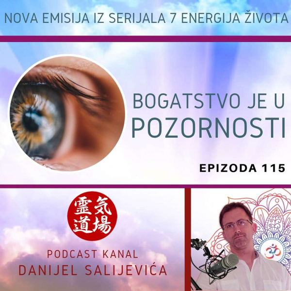 Bogatstvo pozornosti - DanCast 115 artwork