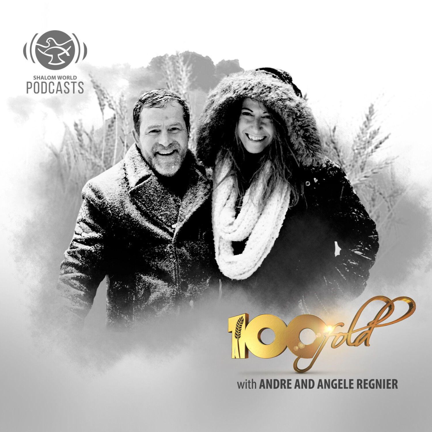 Shalom World - 100 Fold