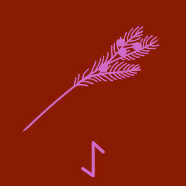 #14 Eiwaz Rune: Understanding the Cycle of Death and Rebirth artwork