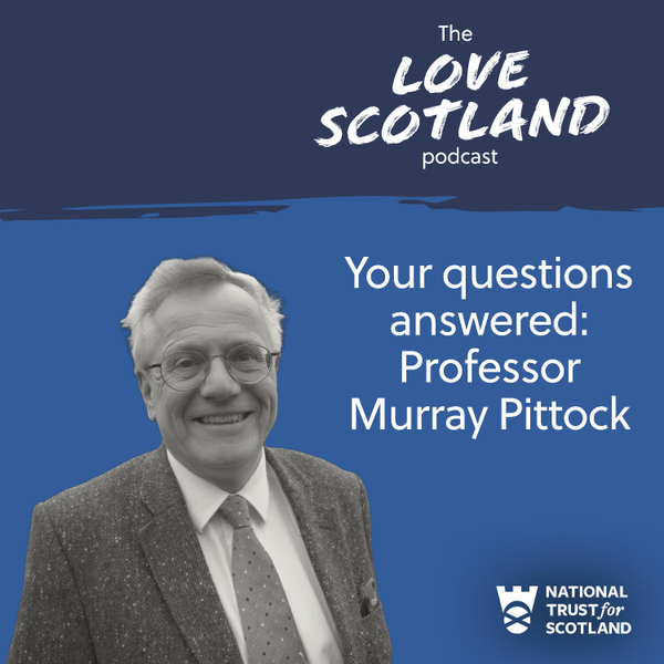 Your questions answered! artwork