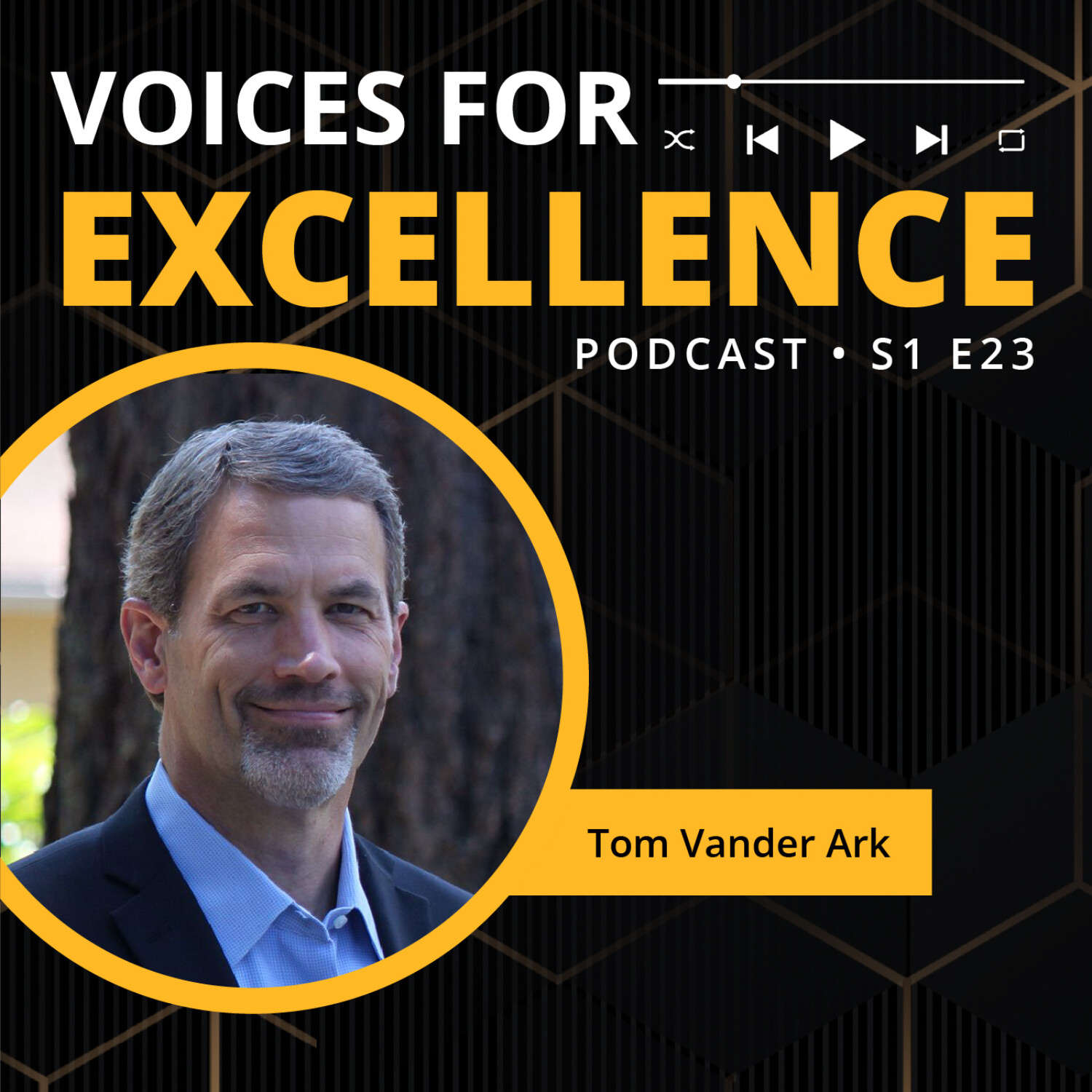 Voices for Excellence