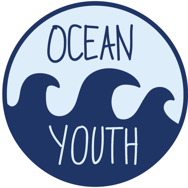 Is Drake everyones friend? __Capital Youth mixtapes artwork