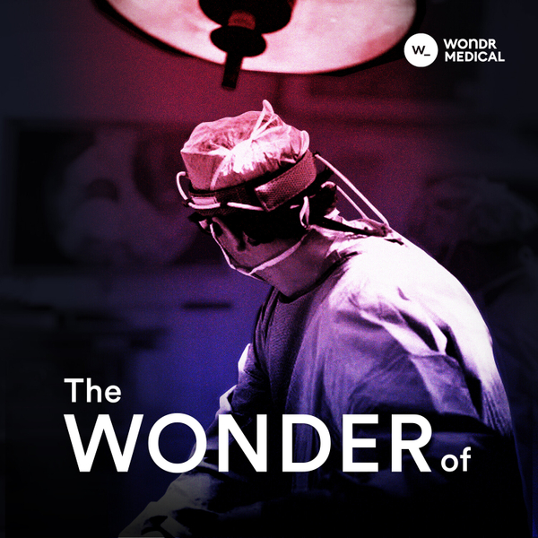 The Wonder of the Stent - Coming Soon  artwork