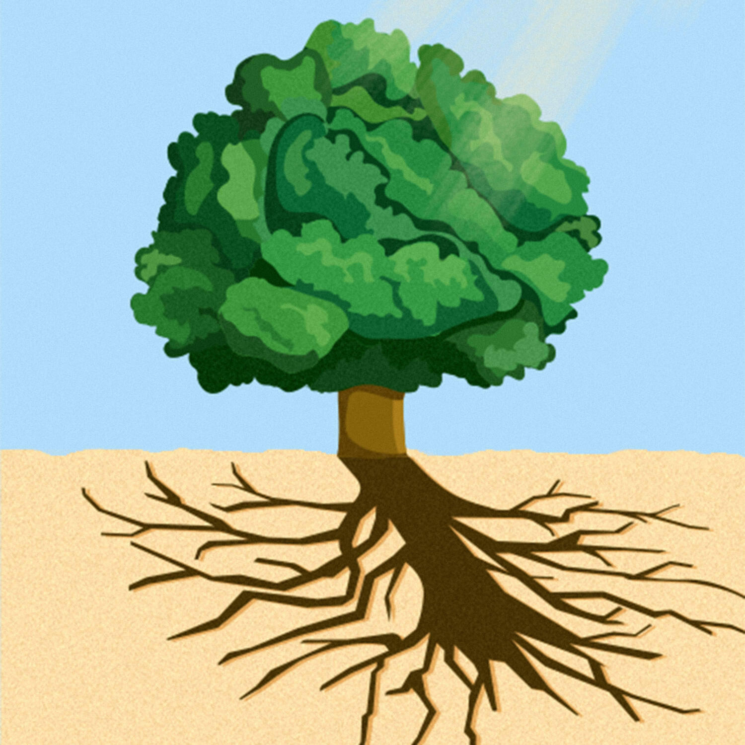 Read Book Briefs Podcast