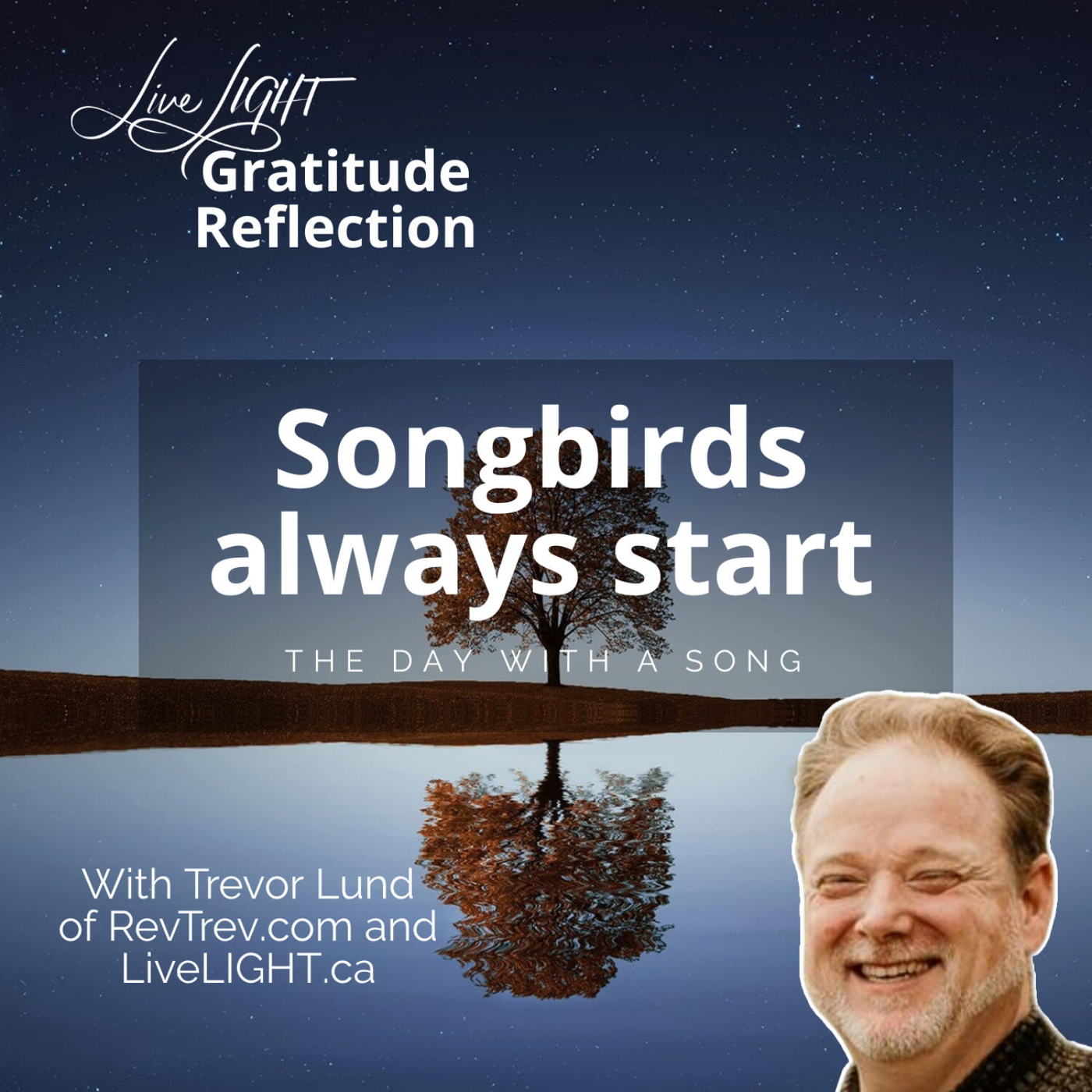 Songbirds always start the day with a song