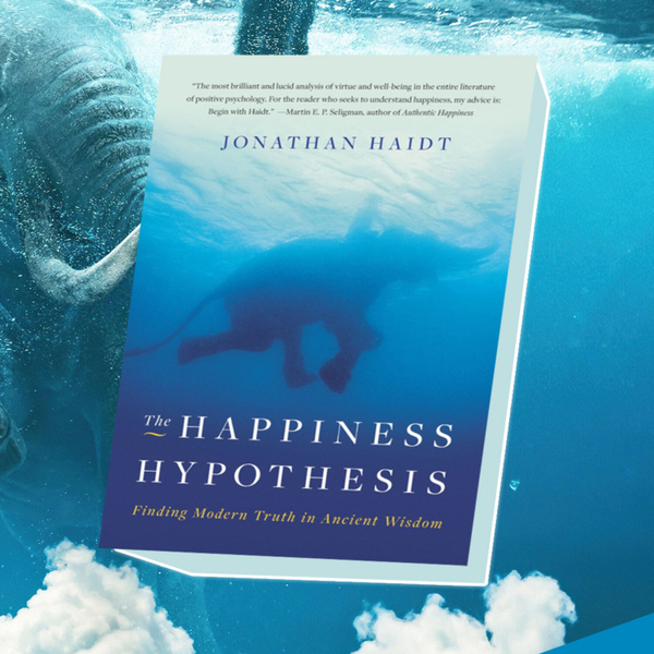  045 - L'Hypothèse du Bonheur de Jonathan Haidt artwork